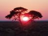 15 - Namibia Paesaggi.jpg